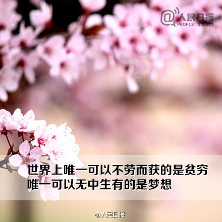 9�仰�͸��ڴ��ɹ����� (9)