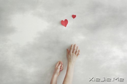 ����������������� (6)