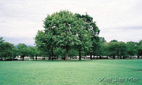 ����������������� (10)