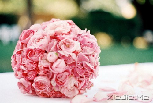 若你懂得,就请珍惜 (1)