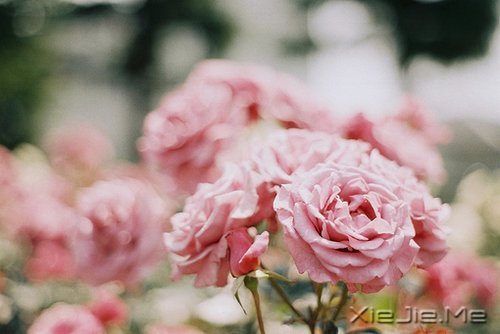 若你懂得,就请珍惜 (6)