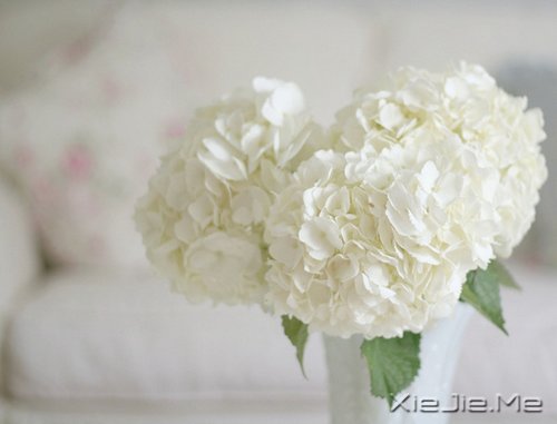 把日子过成诗,简单而精致 (2)