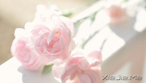 把日子过成诗,简单而精致 (6)