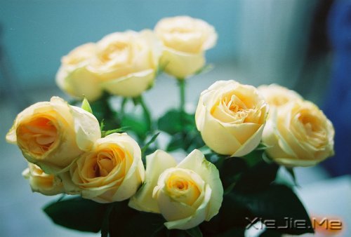 做最真实的自己,才是最好的 (10)