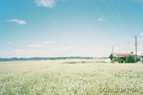 无论发生什么,先善待自己 (2)