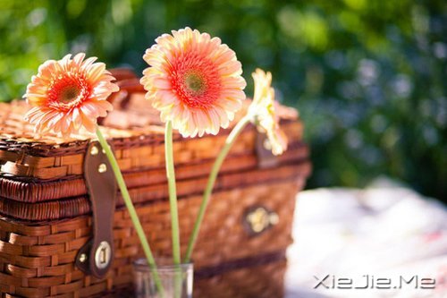 Ҫ�����Լ�����Ҫ�����Լ� (6)