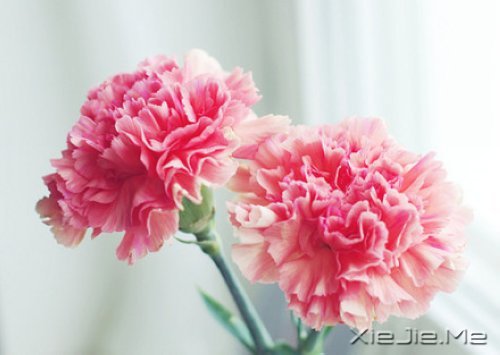 �е����㿴��һ�ۣ�ȴ������һ�� (1)