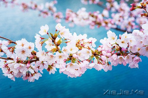 ������ֻ��Ҫһ��������΢Ц (5)