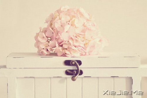 只要你在走,总会看到进步 (1)