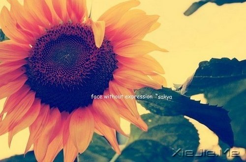 只要你在走,总会看到进步 (5)