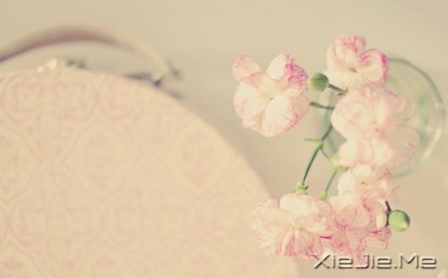 �����������ܿ�����ʵ���Լ� (8)