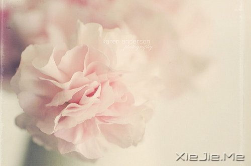 ������������ô��⣬���Լ�������һ��Ҫ���� (7)