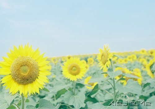 ���µĸ����������յĻ��� (1)