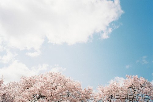 ѧ�ſ���һЩ���飬���Ƕ��Լ���õı��� (9)