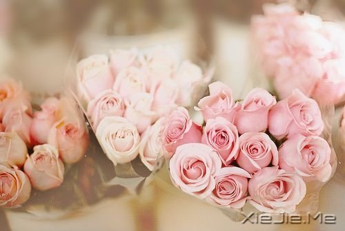 时光如此珍贵,只是我们一去不回 (9)