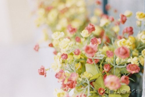 风雨人生,给自己一个微笑 (7)