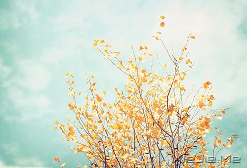 ·���ഺһ���ӣ��������ǳһ���� (4)