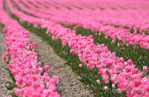 期待一个温柔的距离,保鲜所有美好的记忆 (3)