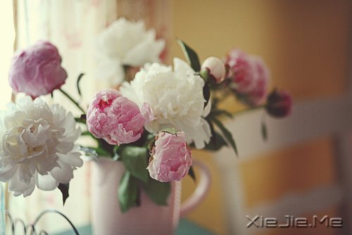 Ը����������ʱ�⣬���������õ��� (3)