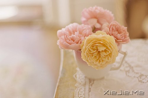 不要嘲笑别人的疤,那只是你没有经历过的伤 (4)