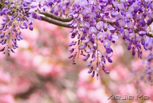 不要嘲笑别人的疤,那只是你没有经历过的伤 (10)