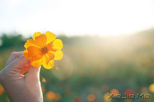 你只有读懂了生命之重,才能看淡时光之轻 (3)