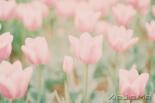 ���������;�У������Լ� (10)