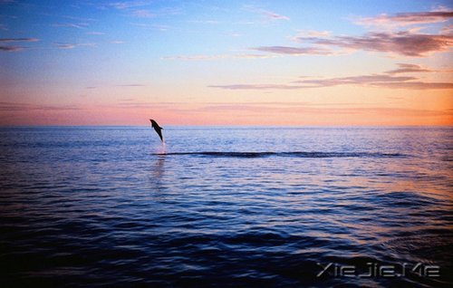 早安心语:生活的美好缘于拥有一颗平常心 (6)