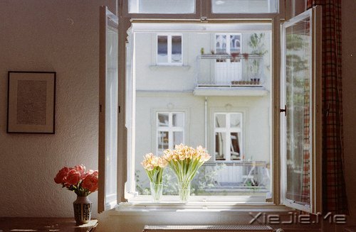 早安心语:生活的美好缘于拥有一颗平常心 (7)