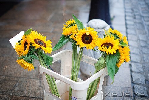 �簲�����Ϊ����Ϊ���ˣ����˲����˵��� (3)