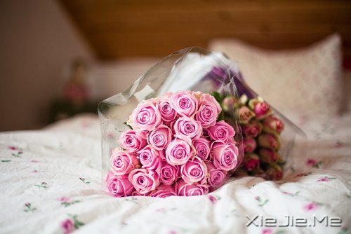 �簲������Լ����������ǣ������Ǳ��������еĿ��� (1)