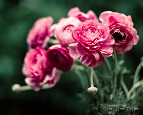 �簲�������ĺ�����ǳǳ��΢Ц (3)