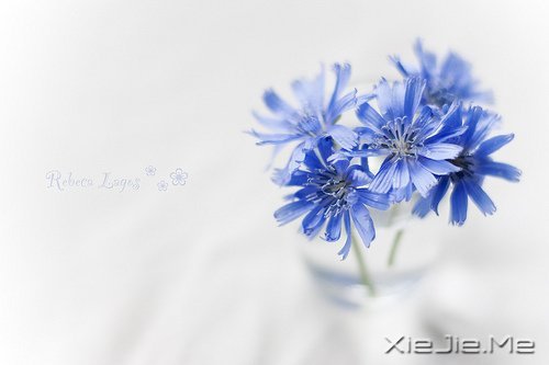 �簲������������ڱ��˵Ĺ���������Լ������� (7)