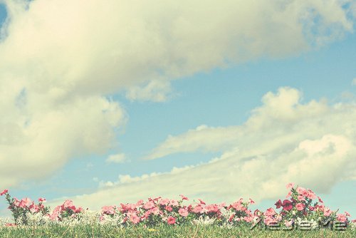 �簲��������������Ҹ��Ǽ������˰������� (2)