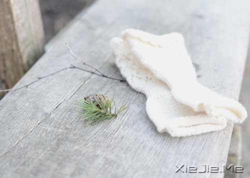 早安心语:时间会咬人,你不走就会满身伤痕 (10)