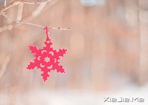 当眼泪流尽的时候,留下来的应该是坚强 (1)