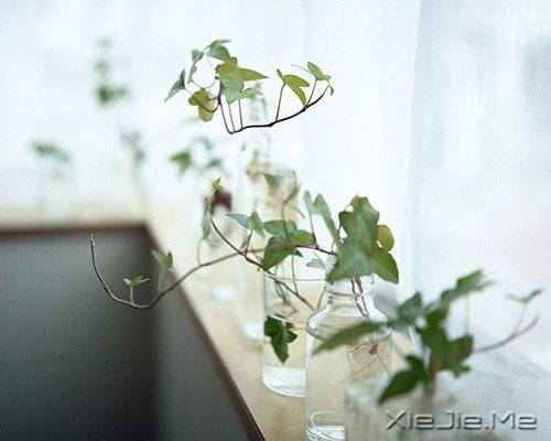 当眼泪流尽的时候,留下来的应该是坚强 (5)