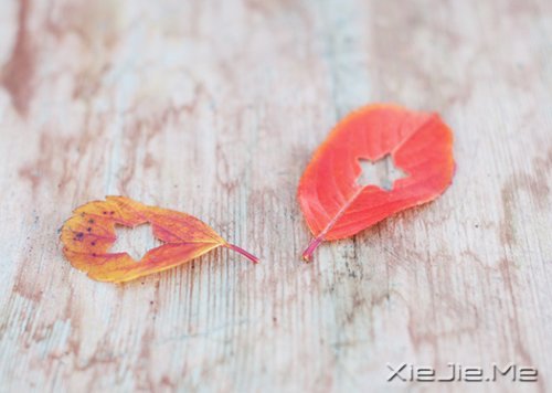 当眼泪流尽的时候,留下来的应该是坚强 (7)