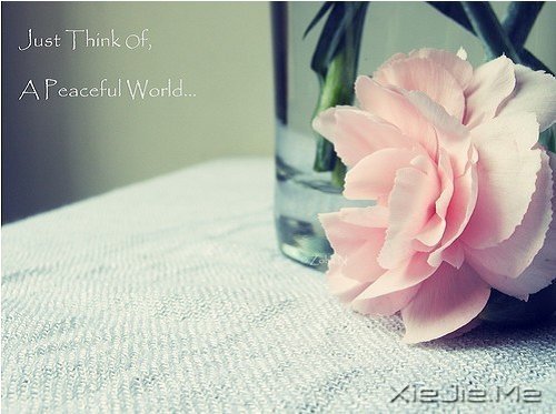 晚安心语:你若不伤,岁月无恙 (7)