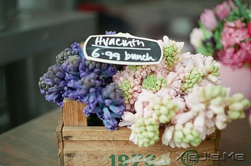 ��ɽ��ˮԶ�ĵ�·���վ���Ҫ�Լ�����ȥ (7)