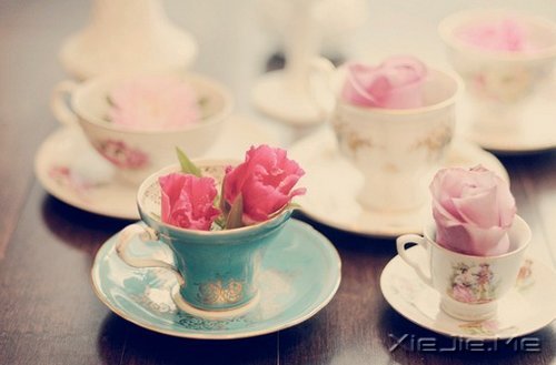 �������յ㣬��΢Цһֱ��ǰ (9)