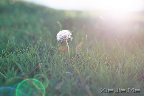 ���������õľ����������ǲ���˼������һ�� (6)