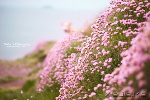 ����������ı���Ⱦ���ľ���Ȼ�� (1)