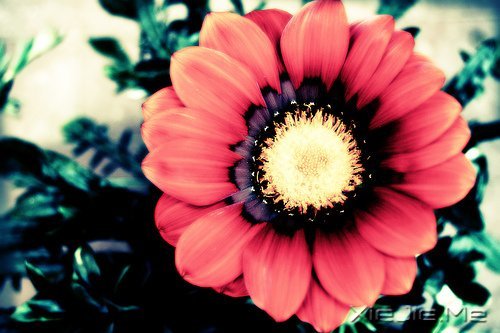 �������Ըϸˮ����ʱ��������� (7)