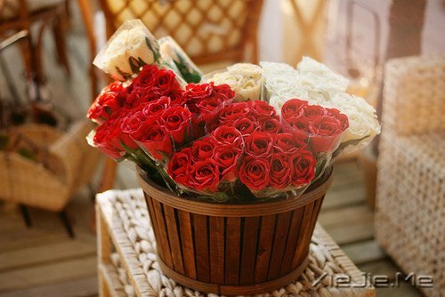 �簲�����Ҫ���������õĳ��� (3)