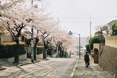 晚安心语:总有些瞬间,能温暖整个曾今 (9)