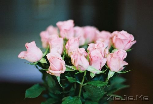 ��������Ե�����·��������������ߵ� (3)