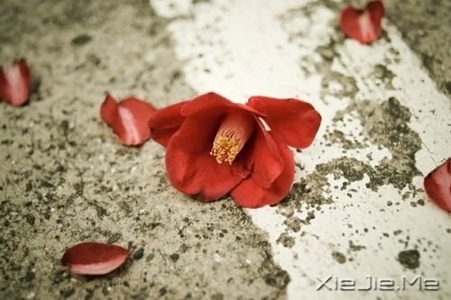 ��������ഺ������ʹ��ȴ�����޷��� (9)