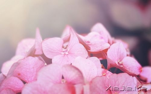 ��������������������������ȥ (8)