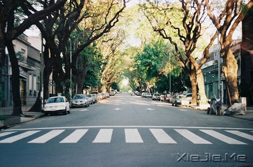 ���������û��ô����ڣ�����ô�� (8)